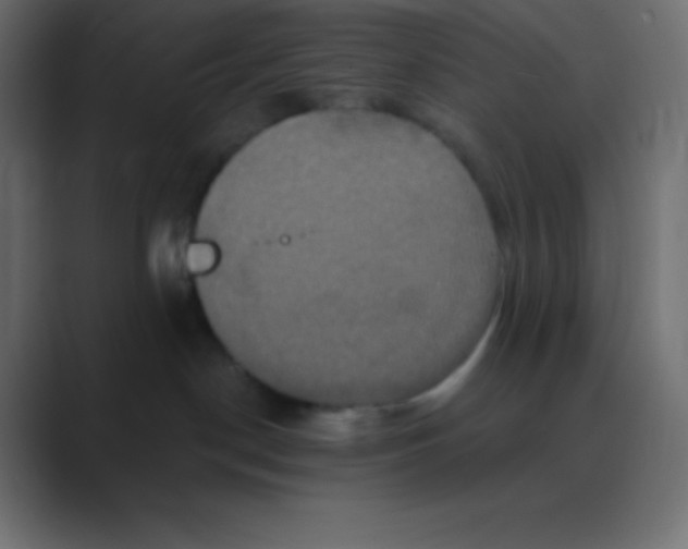 X0000088470190200706191355