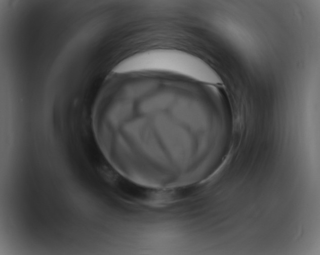 X0000088470191200706191355