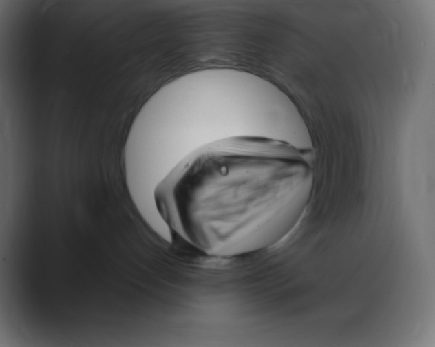X0000088470192200706191355