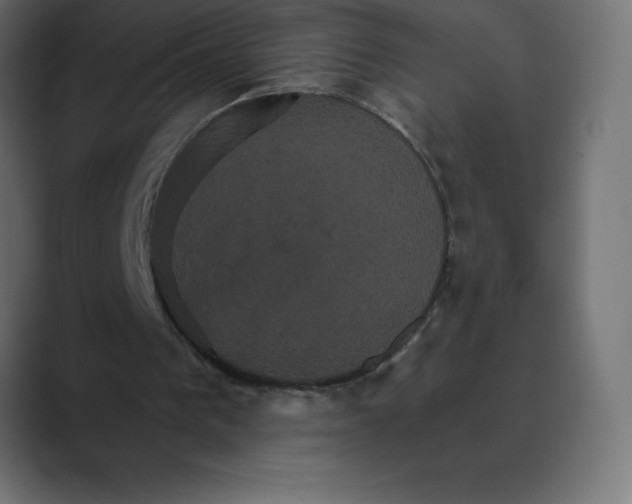 X0000088470193200706191354