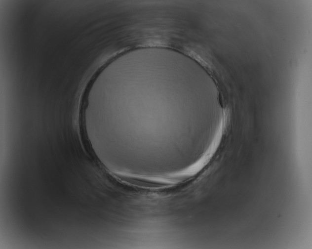 X0000088470195200706191354
