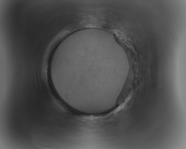 X0000088470197200706191354