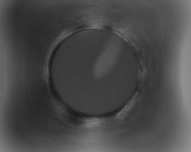 X0000088470198200706191354