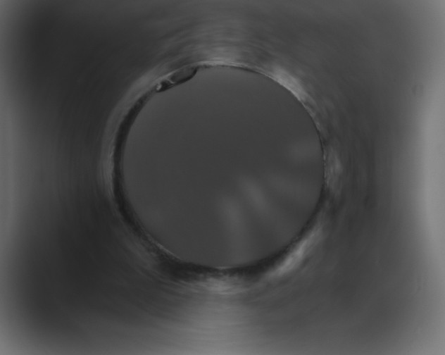 X0000088470199200706191354