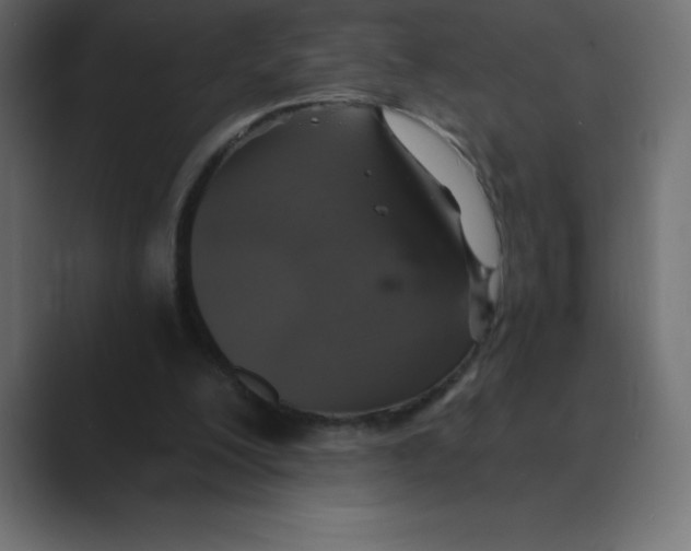 X0000088470200200706191354