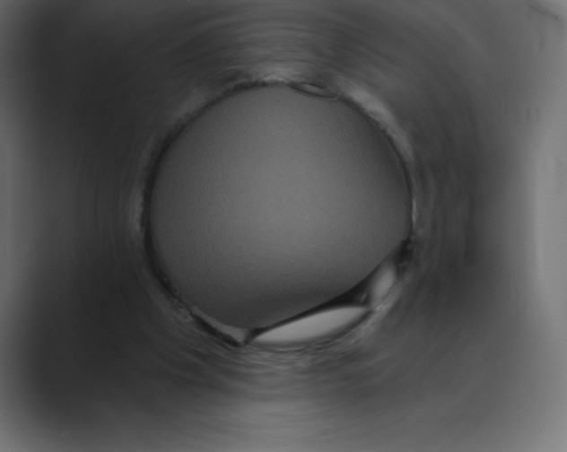 X0000088470201200706191354