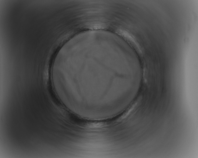 X0000088470202200706191354