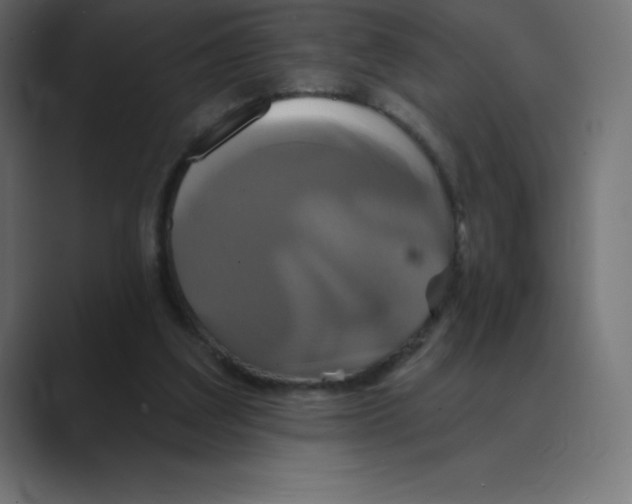X0000088470203200706191354