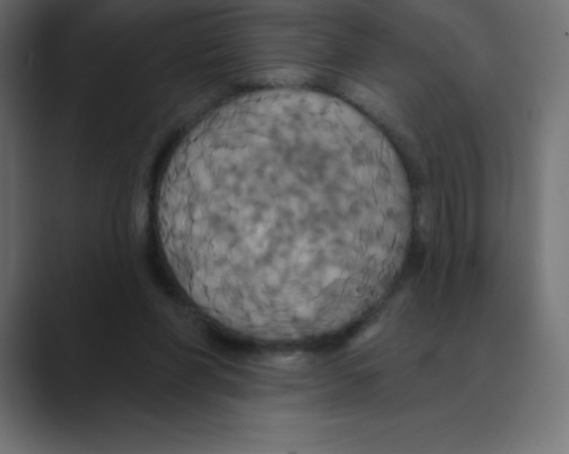 X0000088470206200706191354