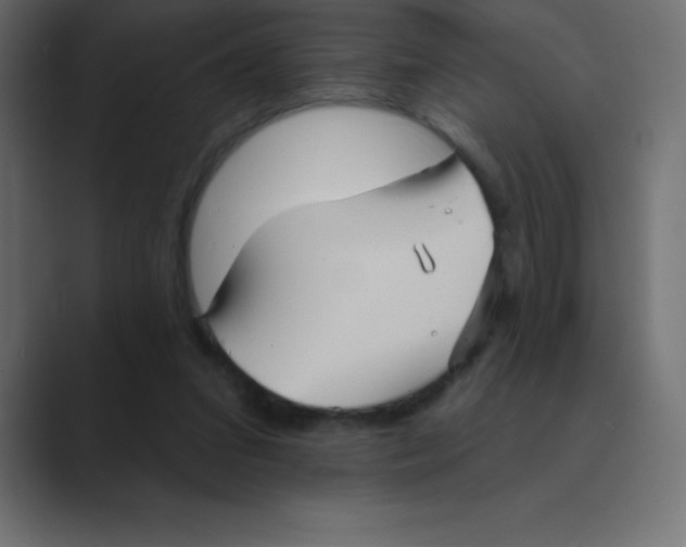 X0000088470207200706191354