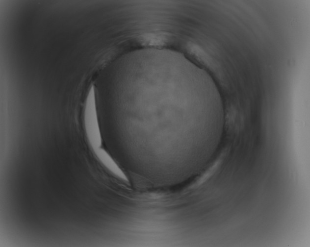 X0000088470209200706191354