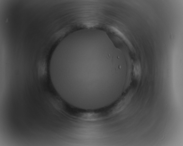 X0000088470212200706191354