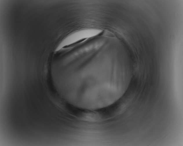 X0000088470215200706191354