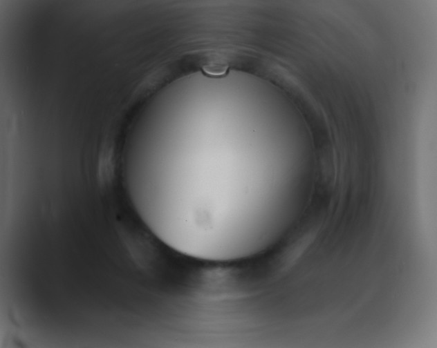 X0000088470216200706191354