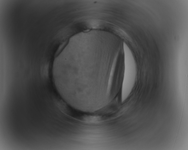 X0000088470217200706191354