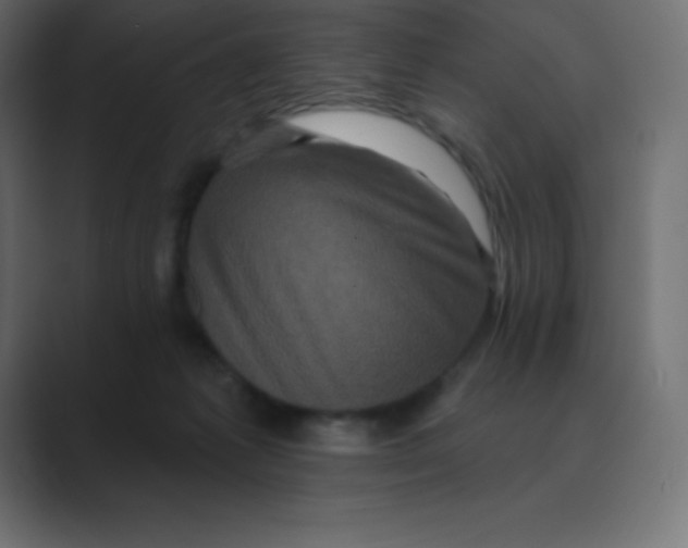 X0000088470221200706191354