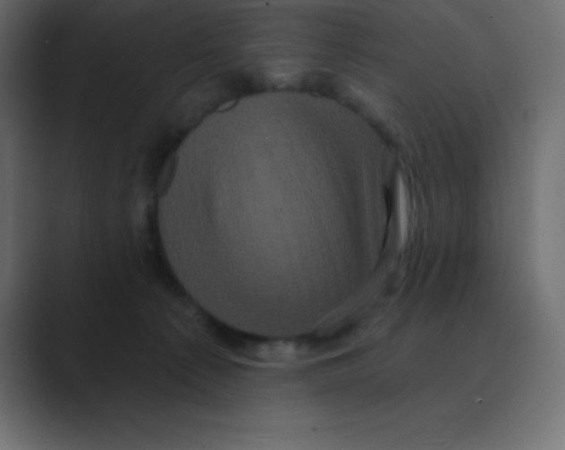 X0000088470225200706191354
