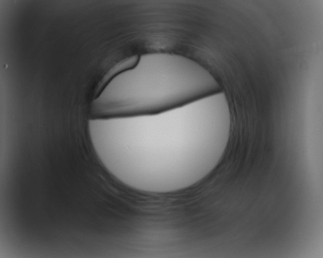X0000088470227200706191354