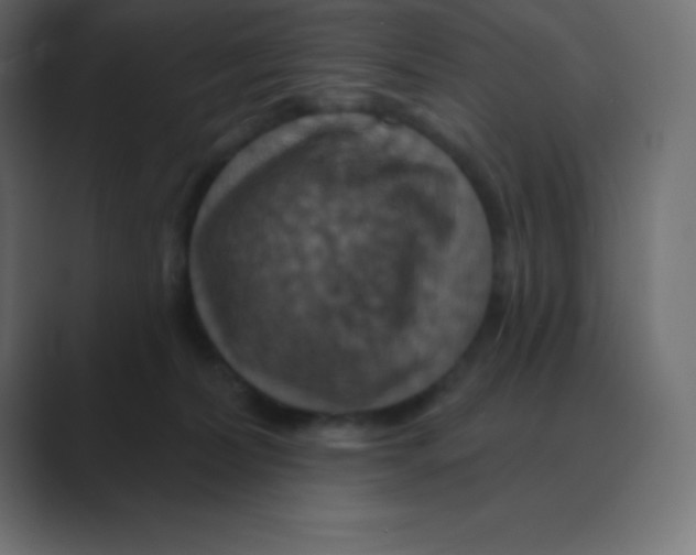 X0000088470228200706191354