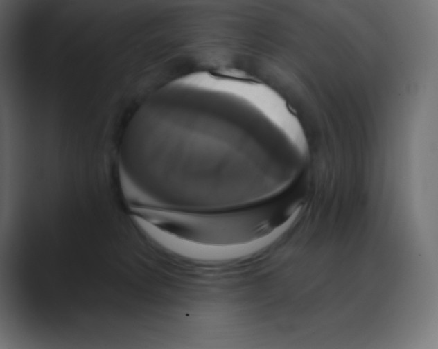 X0000088470229200706191354