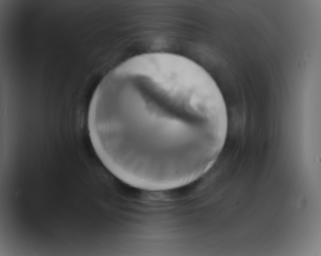 X0000088470230200706191354