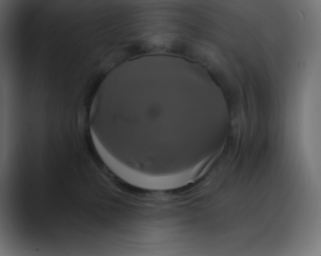 X0000088470231200706191354