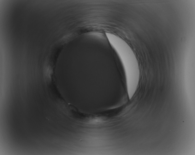 X0000088470235200706191354