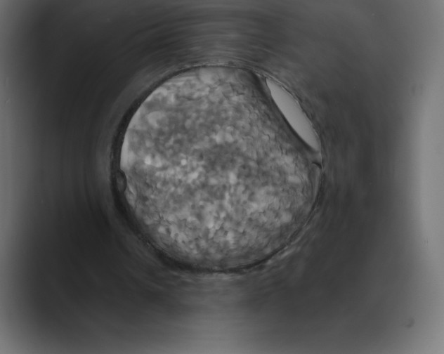 X0000088470242200706191353