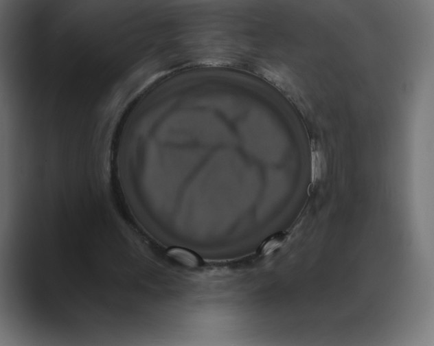 X0000088470243200706191353