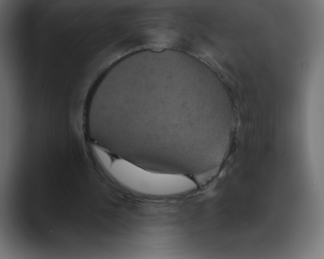 X0000088470244200706191353