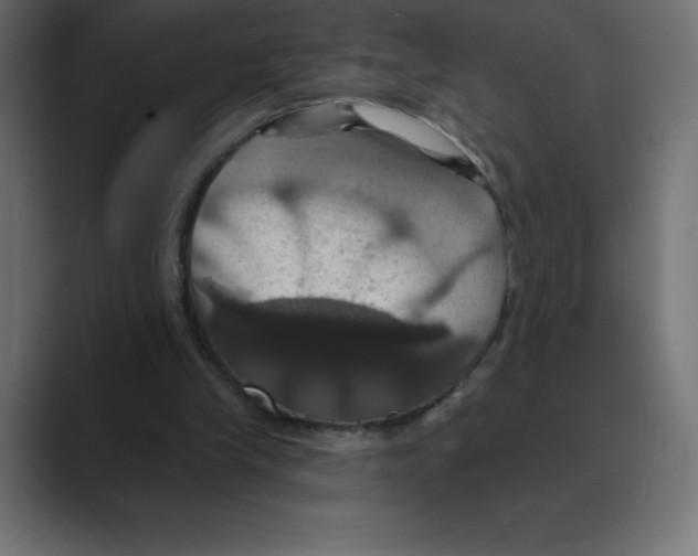 X0000088470245200706191353