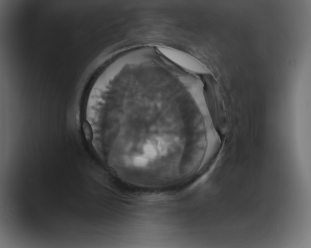 X0000088470246200706191353