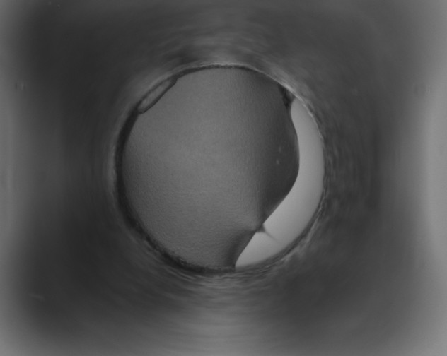 X0000088470248200706191353