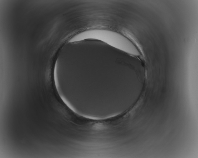 X0000088470249200706191353
