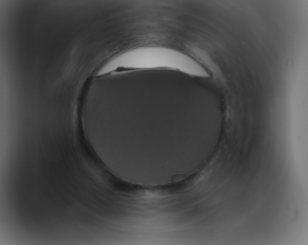 X0000088470250200706191353