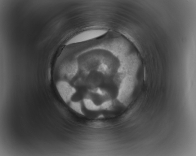 X0000088470253200706191353