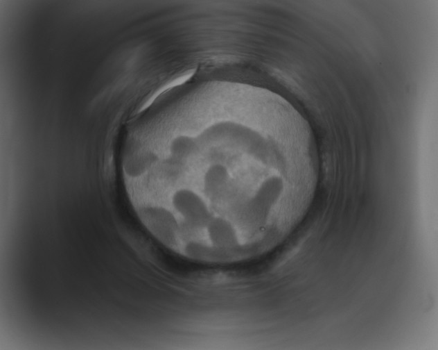 X0000088470254200706191353