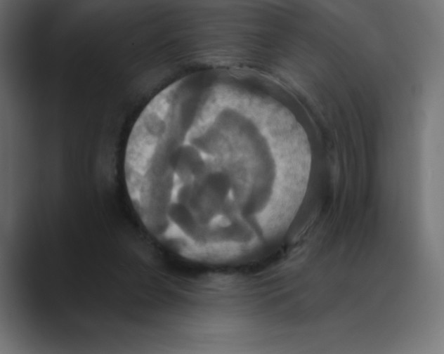 X0000088470255200706191353