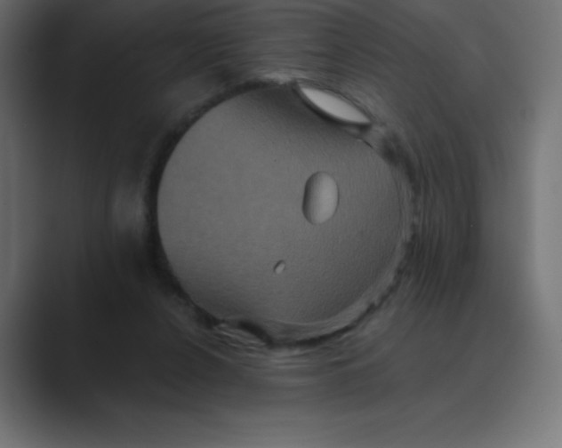 X0000088470256200706191353