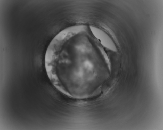 X0000088470257200706191353