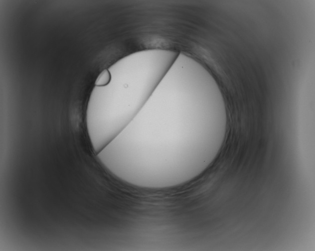 X0000088470259200706191353