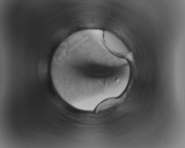 X0000088470260200706191353