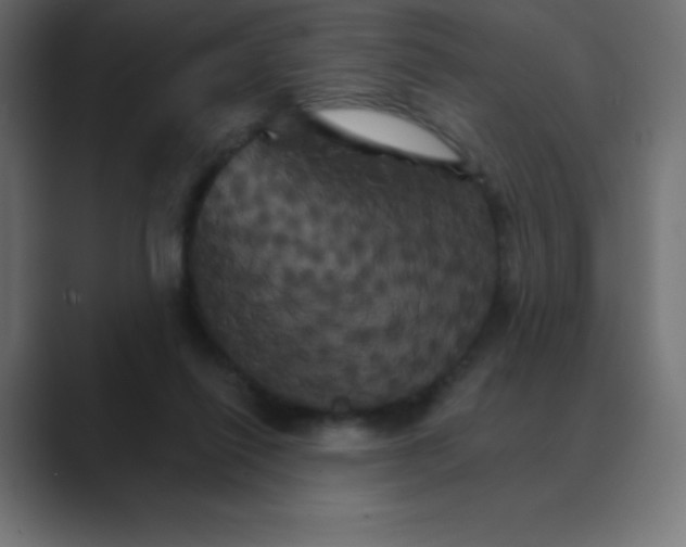 X0000088470262200706191353