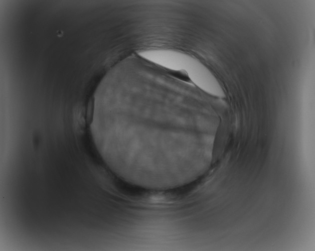 X0000088470264200706191353