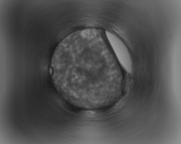 X0000088470265200706191353
