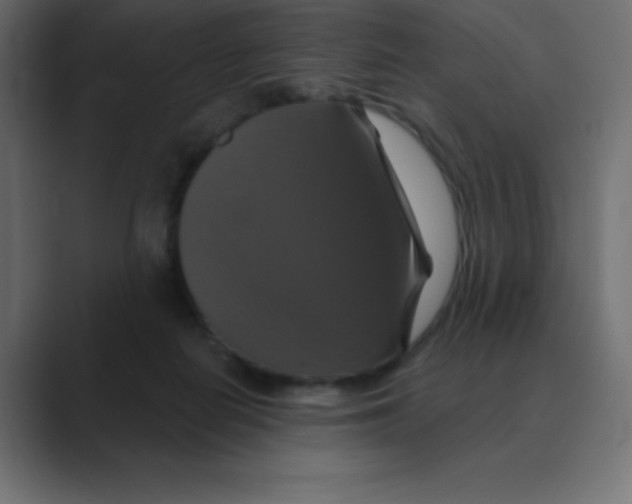 X0000088470266200706191353