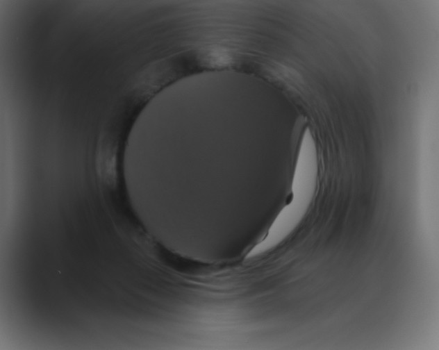 X0000088470267200706191353
