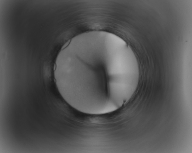 X0000088470268200706191353