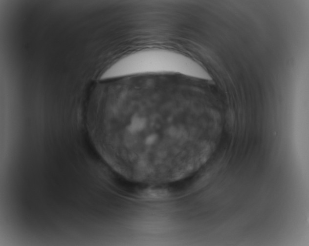 X0000088470270200706191353