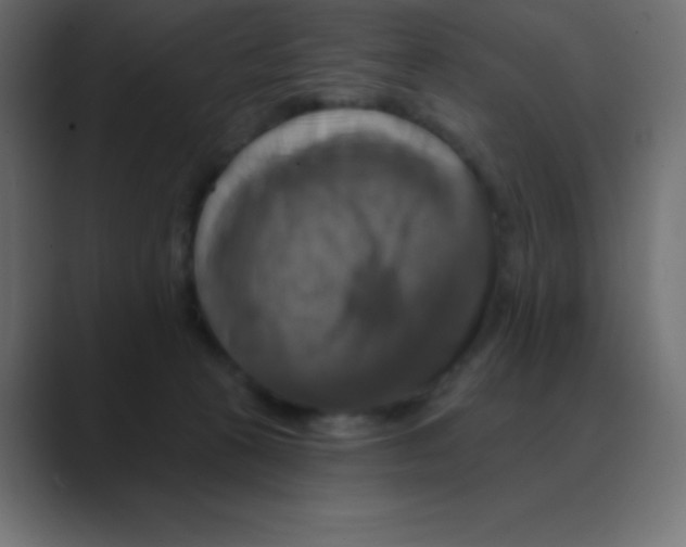 X0000088470273200706191353